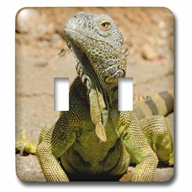 Imagem de 3dRose lsp_207356_2 Honduras, Ilhas da Baía de Honduran, Roatan, Farm Green Iguana, Interruptor duplo, multicolorido