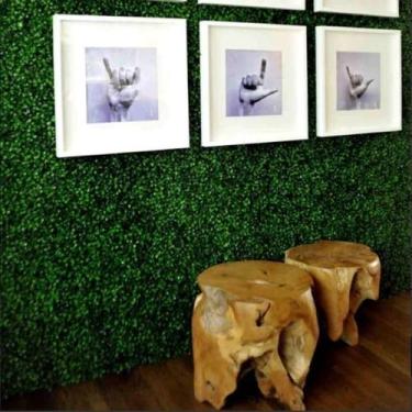 Imagem de Kit Com 5 Placas Bucho Grama Muro Inglês Medida 25 X 25 Cada - Léo Flo