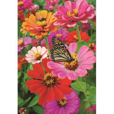Imagem de Bandeira decorativa de jardim de abelha de abelha borboleta de zinnia colorida primavera verão flores dupla face 31,75 x 45,72 cm