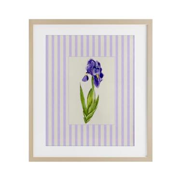 Imagem de Stupell Industries Impressão emoldurada de íris com listras roxas sob vidro, design de Lisa Wehmeyer, 40,6 x 33,5 cm