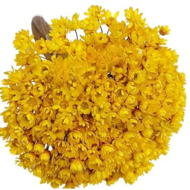 Imagem de Buquê de 300 Flores Secas Sempre Viva Mosquitinho – Mini Florzinhas Naturais para Arranjos e Decoração(Amarela)