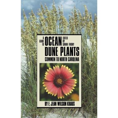 Imagem de A Guide to Ocean Dune Plants Common to North Carolina