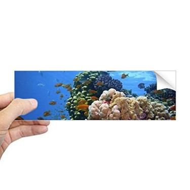 Imagem de DIYthinker Peixe oceano coral ciência natureza imagem retangular para-choque adesivo notebook janela decalque