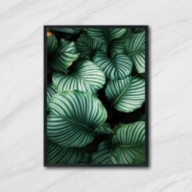 Imagem de Quadro Foto De Folhas 45X34Cm - Com Vidro Moldura Branca - Quadros On-