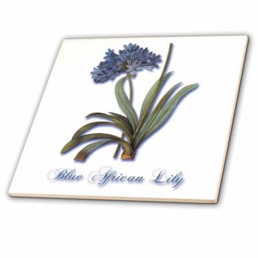 Imagem de 3dRose ct_171231_1 Lírio africano azul, impressão botânica de um pequeno conjunto de flores de lírio azul - azulejo de cerâmica, 10 cm