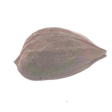 Imagem de Garra de Exú legítimo Ritual de Assentamento Umbanda Candomblé - wfo a