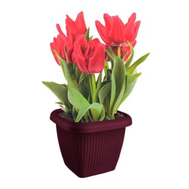 Imagem de Vaso De Plantas Design Moderno Decoração 1,7L em Polipropileno (Bordô)