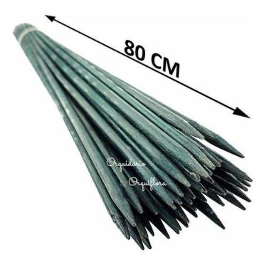 Imagem de Kit 70 Estacas Tutor De Plantas Haste Pintada Bambu 80cm - Orquiflora