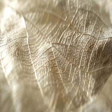 Imagem de Quadro Decorativo Delicate Tracings Arte Inspiradora para Parede Design Elegante - Decorar com Significado 30x30cm