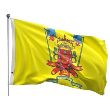 Imagem de Bandeira do Município de Paracatu Dupla Face Estampada Tamanho 90x128c