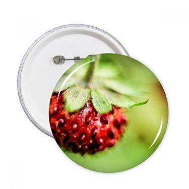 Imagem de Imagem Fresh Berry Fotografia natureza Pinos Redondos Emblema Decoração de Roupas 5 peças Presente