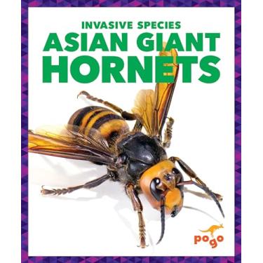 Imagem de Asian Giant Hornets
