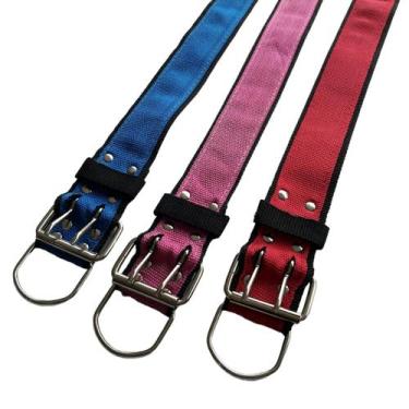 Imagem de Coleira Cachorro Grande Nylon Reforçado Com Ajuste n5 - Mirante Pet