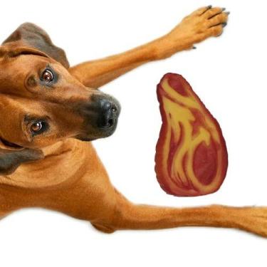Imagem de Brinquedo pet para cães bife mordedor para cachorro com apito - Napi