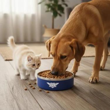 Imagem de Comedouro Pet Inox Premium Antiderrapante 1,2L Inox Dine Bebedouro Gat