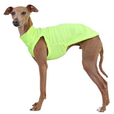 Imagem de D Doggy Star Italian Greyhound Roupas verão legal camisetas rashguard maiô whippet para cães (GG, amarelo neon frio)