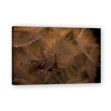 Imagem de Arte de parede, pintura em tela, dente-de-leão com orvalho nas sementes, impressão de pôster para sala de estar, quarto, cozinha, escritório, 75 x 50 cm