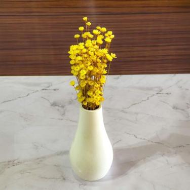 Imagem de Vaso Decorativo com Flores Sempre Vivas - VIVA FLOR, 5