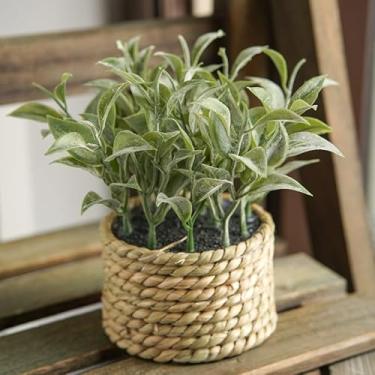 Imagem de Planta artificial verde em vaso 11 cm plantas falsas de plástico simulação de plantas em vaso decoração de casa (folhas pontiagudas - 7,8 x 13 cm)