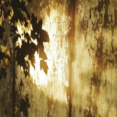 Imagem de Quadro Decorativo Golden Light Estampa de Luz Dourada com Folhagem – Arte Moderna para Decoração de Ambientes 50x50cm