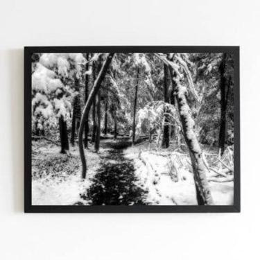 Imagem de Quadro Fotografia Neve Na Floresta 45X34Cm Com Vidro Preta