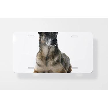 Imagem de Capa para placa de carro de pastor belga para cachorro – Capa para placa de carro – Capa para placa de carro 15 x 30 cm