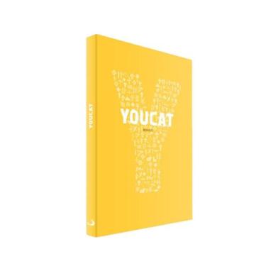 Imagem de Coleção Youcat Livro Catecismo Jovem da Igreja Católica - Editora Paul