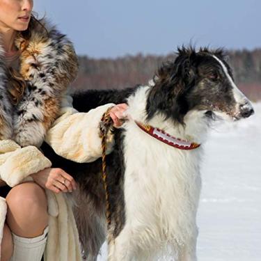 Imagem de Pets First Coleira de couro resistente NFL Green Bay Packers Premium Dog Collar, edição limitada, tamanho grande. Melhor e mais forte coleira para cães resistente, grande (51-73 cm de comprimento e