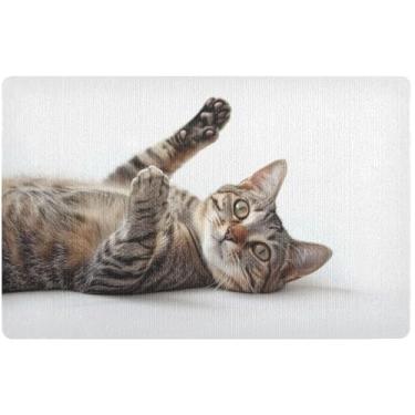 Imagem de TSENQUE Tapete personalizado com estampa de gato malhado fofo tapete externo absorvente lavável tapete de entrada interno para casa outono tapete externo 81 cm x 50 cm