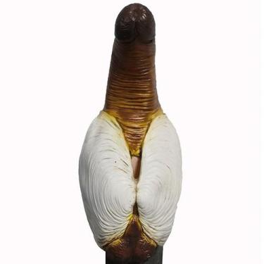 Imagem de Máscara Panopea Abrupta Latex, fantasia de cosplay para festa de rosto