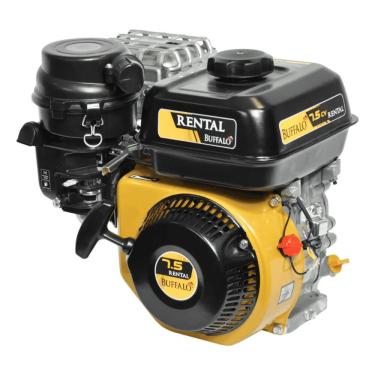 Imagem de Motor Gasolina Buffalo BFG 7.5 Rental 7,5CV 4T Partida Manual Eixo 3/4 Profissional