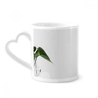 Imagem de Caneca de café de cerâmica simples com folhas verdes da natureza para fotos, copo de coração de vidro