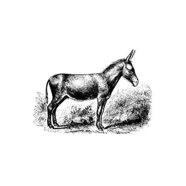 Imagem de e.x.o.b.o | Notizbücher: Umfangreiches und exotisches Blanko-Journal mit einzigartiger Vintage-Handzeichnung (Esel)