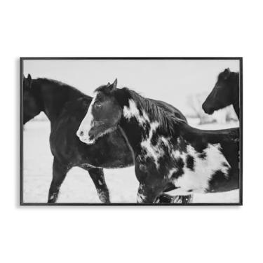Imagem de Stupell Industries Design de arte giclée emoldurado preto e branco cavalos de inverno preto e branco por Amy Carroll, 20 x 30