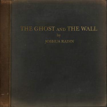 Imagem de The Ghost and the Wall [Disco de Vinil]