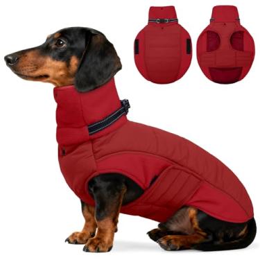 Imagem de DENTRUN Casaco para cães com arnês embutido – Jaqueta ajustável para cachorro com gola de tartaruga de pelúcia, à prova de vento e repelente de água, refletora para passeios noturnos, serve na