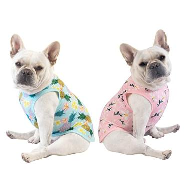 Imagem de CuteBone Camisetas para cães de abacaxi e flores, pacote com 2 roupas macias para animais de estimação, colete respirável de verão para filhotes pequenos e roupas elásticas para gatos 2BX06L