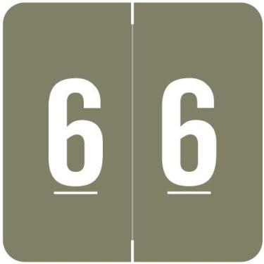 Imagem de Doctor Stuff - File Folder Labels, Number 6, Compatible with ACME ACNM Series Chart Stickers, Gray, 1-1/2" x 1-1/2", #6, 500/Roll