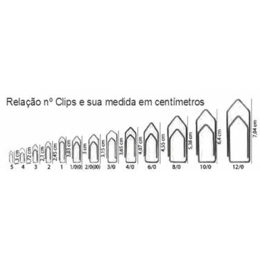 Imagem de Clips Nº 2/0 Colorido Com 100 Unidades Bacchi