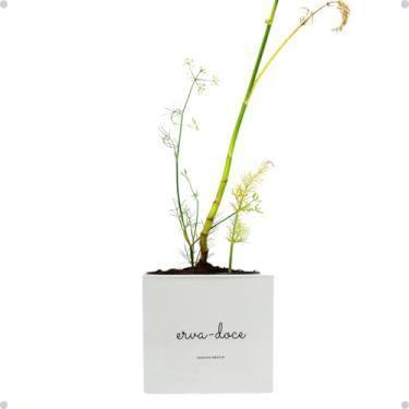 Imagem de Kit Horta Vertical Vaso + Sementes e Substrato Para Chá Jardineiras Salmão (Erva-Doce, Rosa Salmão, 1)