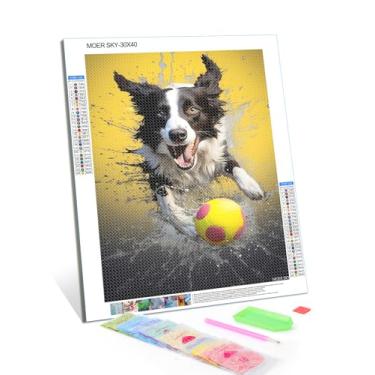 Imagem de MOER SKY DIY Diamond Art Border Collie com pintura de diamante de cachorro bola amarela, kits de diamante redondo completo para iniciantes adultos, para decoração de quarto, decoração de parede