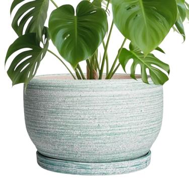 Imagem de SQOWL Vaso de plantas de 25 cm - Vaso de cerâmica com orifício de drenagem e pires, vaso de flores decorativo para plantas internas e externas, vaso redondo, verde escovado