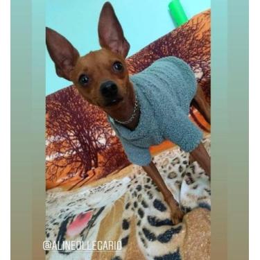 Imagem de Roupinha pet - Aline 