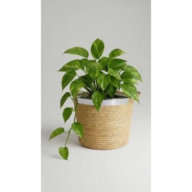 Imagem de Cesto Grande Palha Natural Alça Forro 24x20x20cm - Congratulations Sto