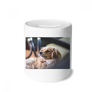 Imagem de DIYthinker Porta-moedas de cerâmica com foto de animal pequeno solitário para cachorro presente