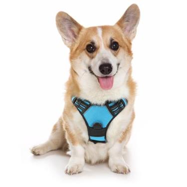Imagem de Arnês para cães rabbitgoo No-Pull Pet Harness azul para cães médios