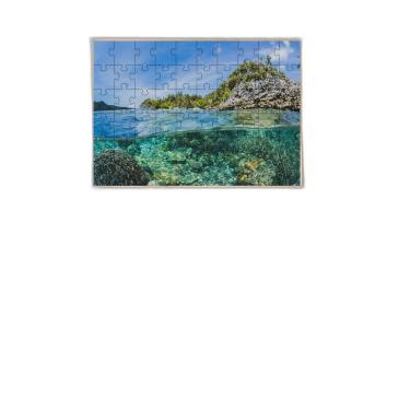 Imagem de 3 Quebra-Cabeças Educativo Lindos Mares Inclusivo 60 Peças