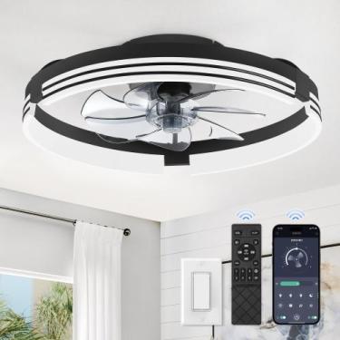 Imagem de Ventilador de techo ZMISHIBO 20" LED regulable 6 velocidades 120V