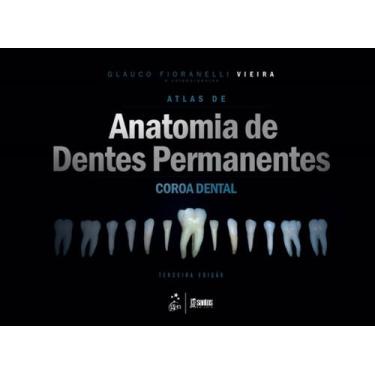 Imagem de Atlas De Anatomia De Dentes Permanentes + Marca Página