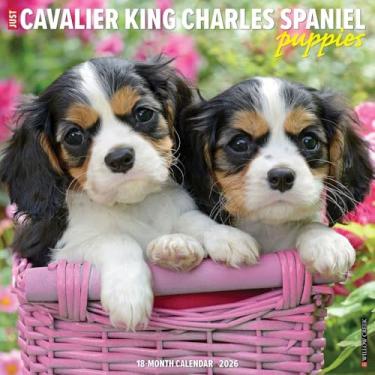 Imagem de Calendário de parede Cavalier King Charles Spaniel Puppies 2026 30,5 cm x 30,5 cm